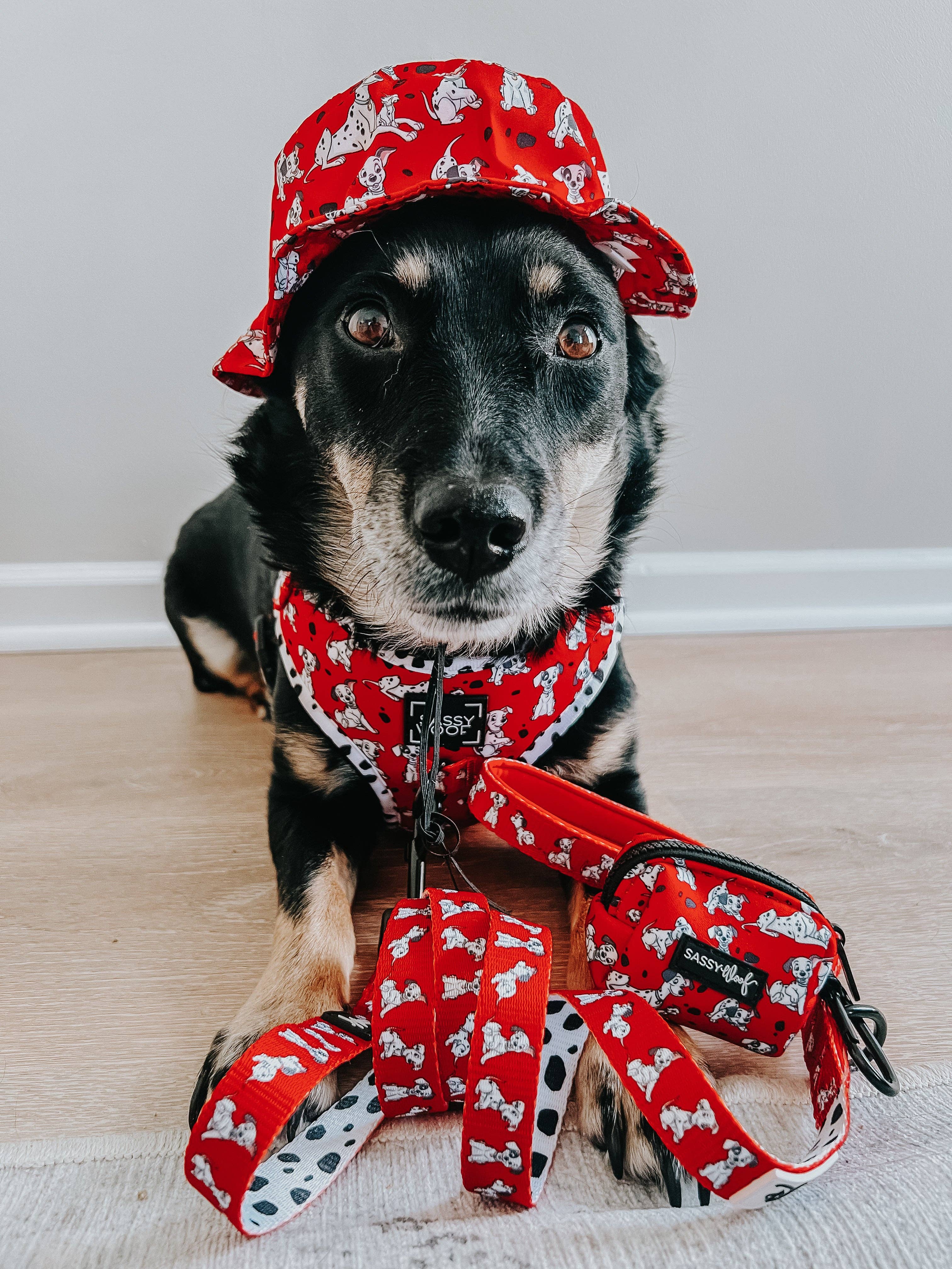 Dog Bucket Hat - Disney's 101 Dalmatians