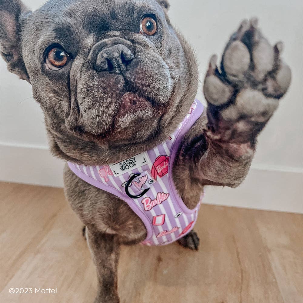 Dog Adjustable Harness - Closet Goals
