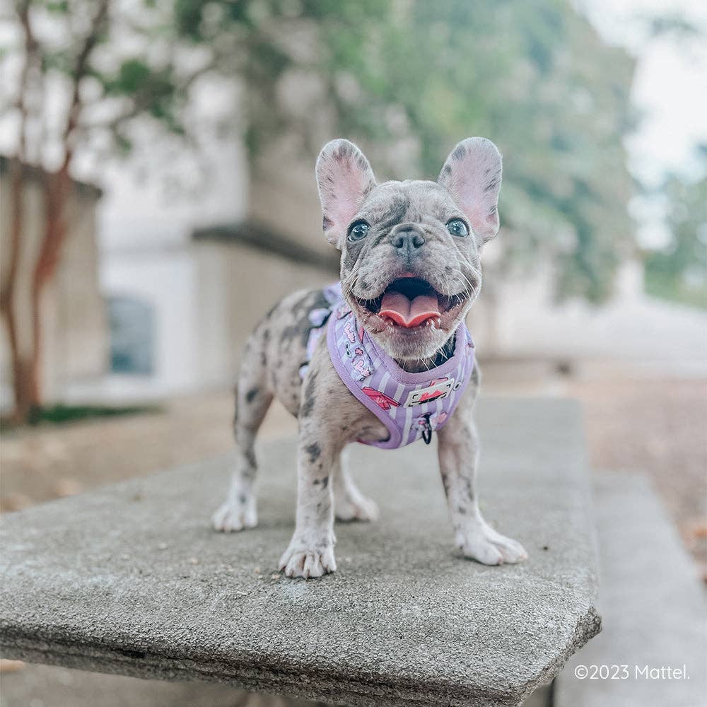Dog Adjustable Harness - Closet Goals