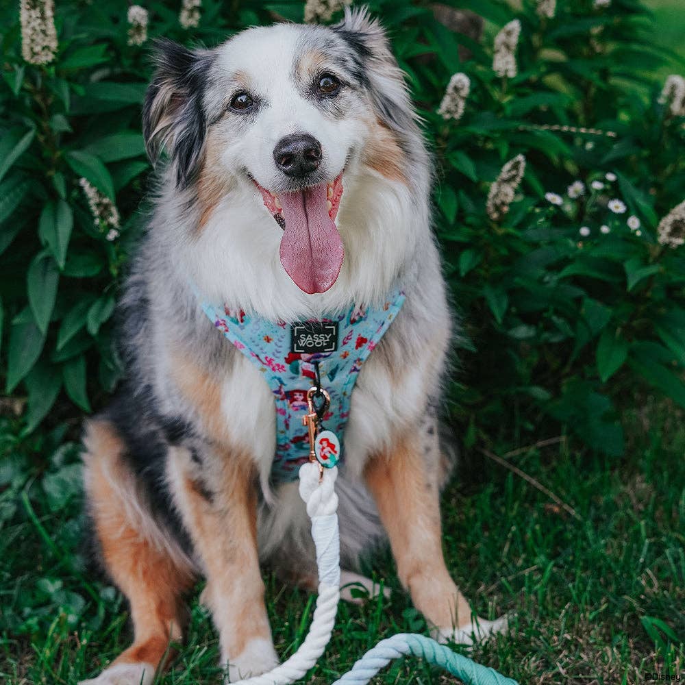 Dog Adjustable Harness - Disney's Ariel