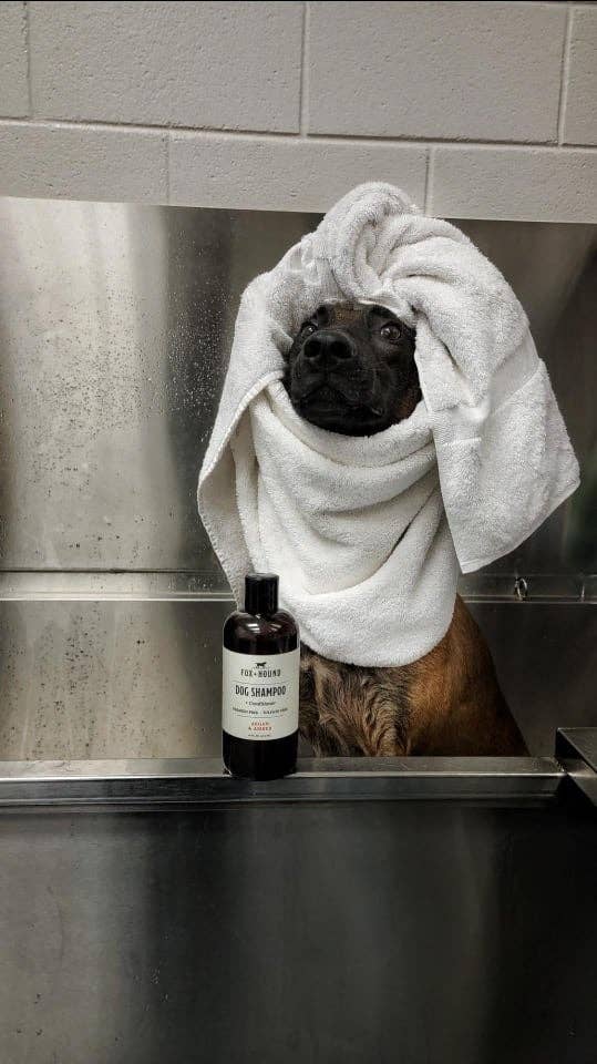 DOG SHAMPOO + CONDITIONER FOX + HOUND ARGAN & AMBER