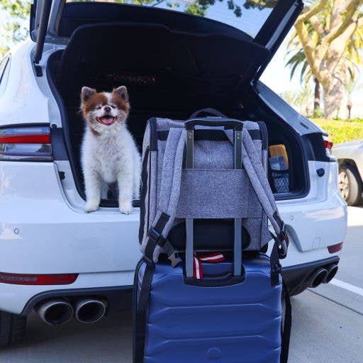 The Backpacker Pet Carrier