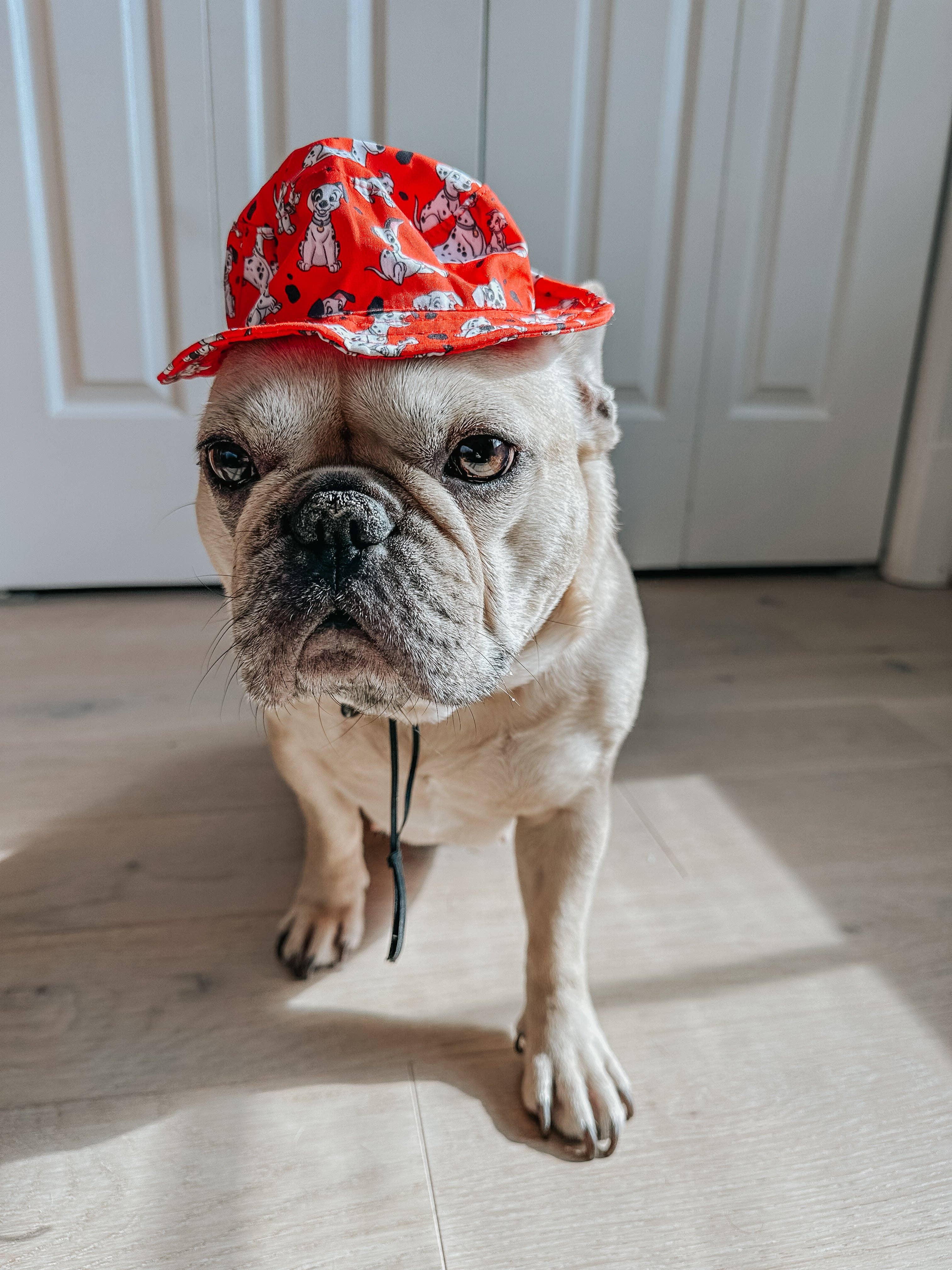 Dog Bucket Hat - Disney's 101 Dalmatians