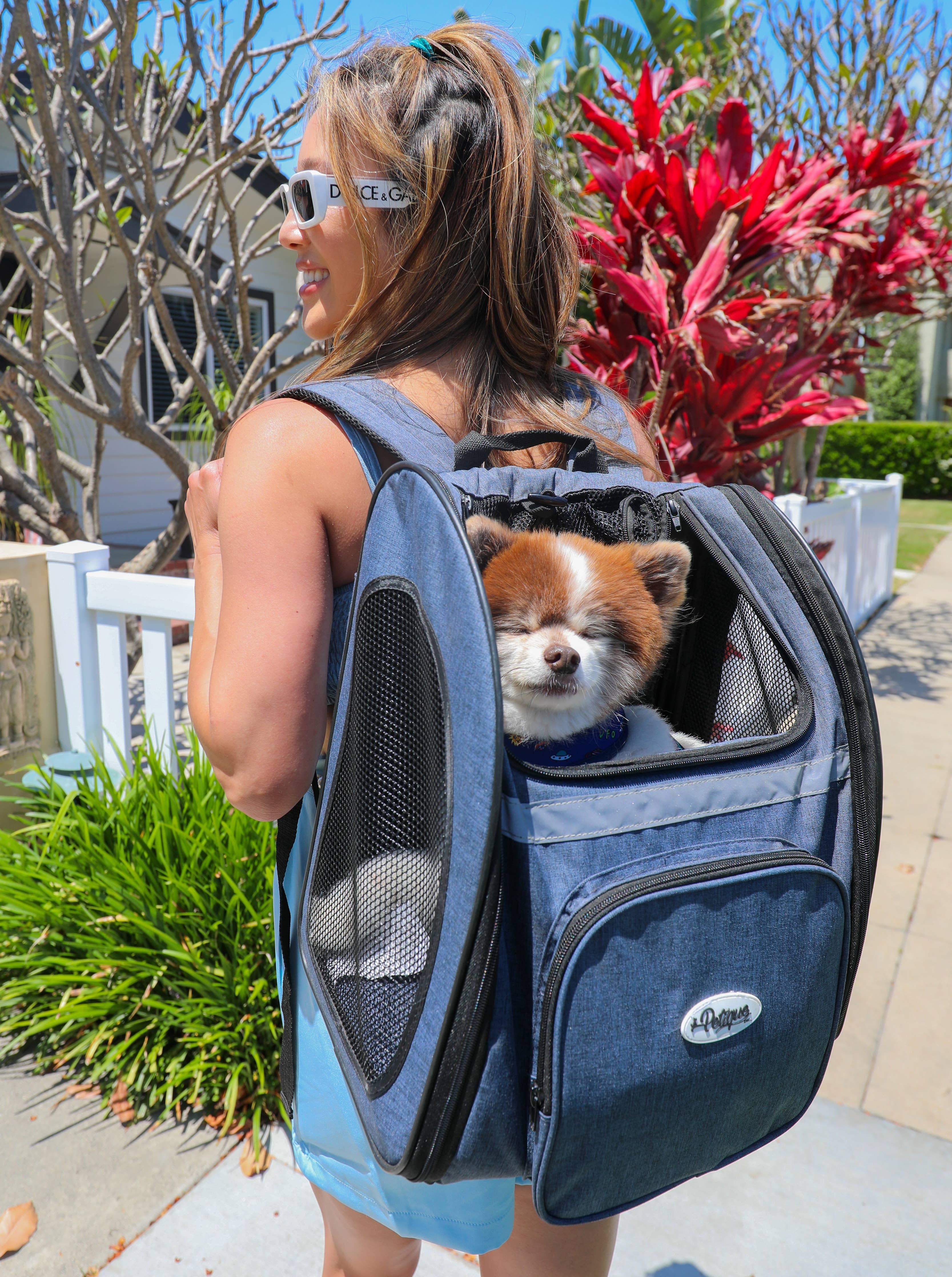 The Backpacker Pet Carrier