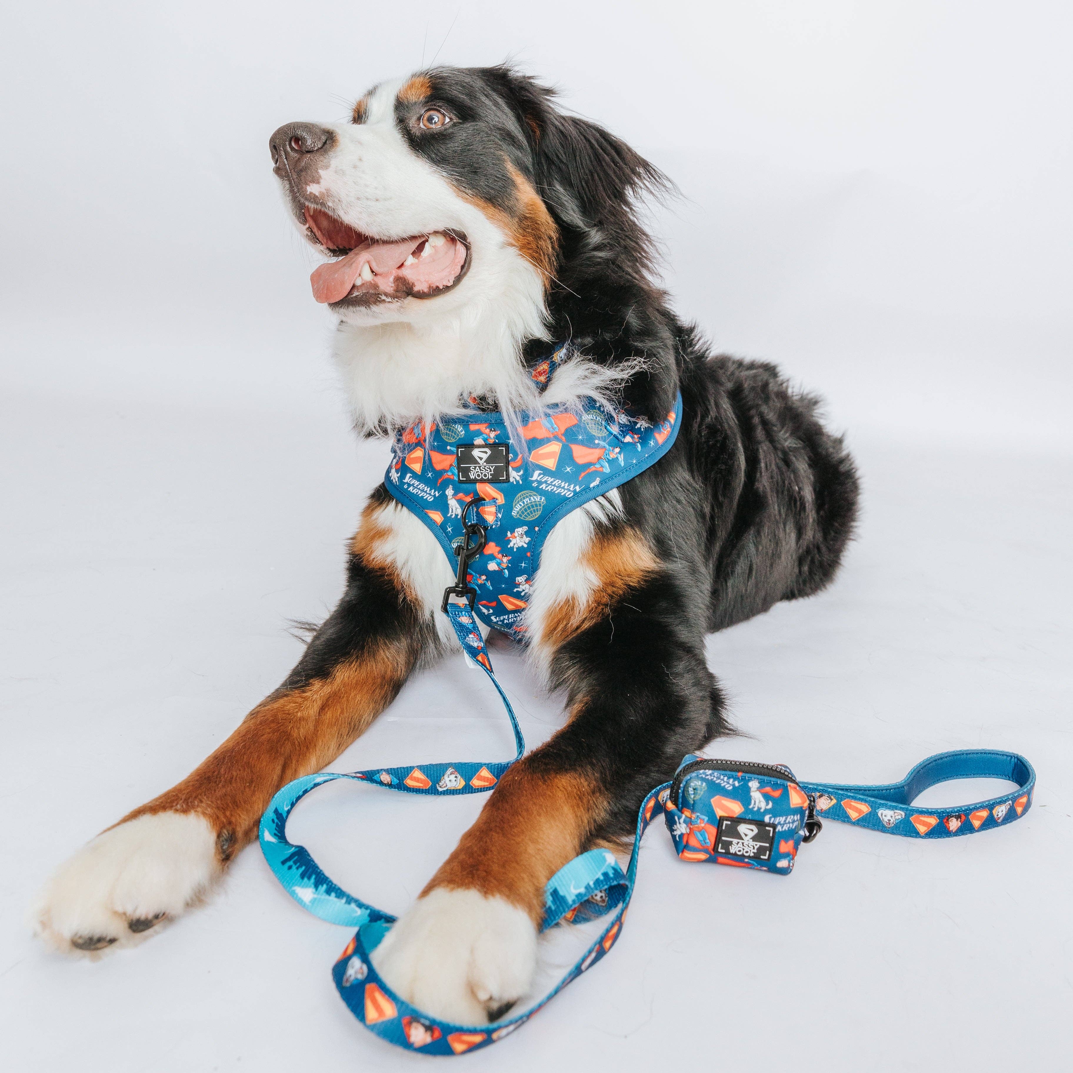 Dog Adjustable Harness - Superman™ & Krypto™