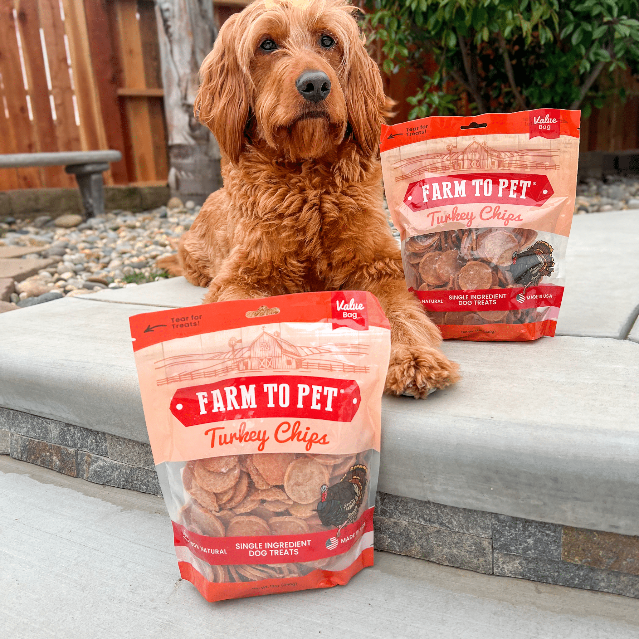 Turkey Chips Dog Treats