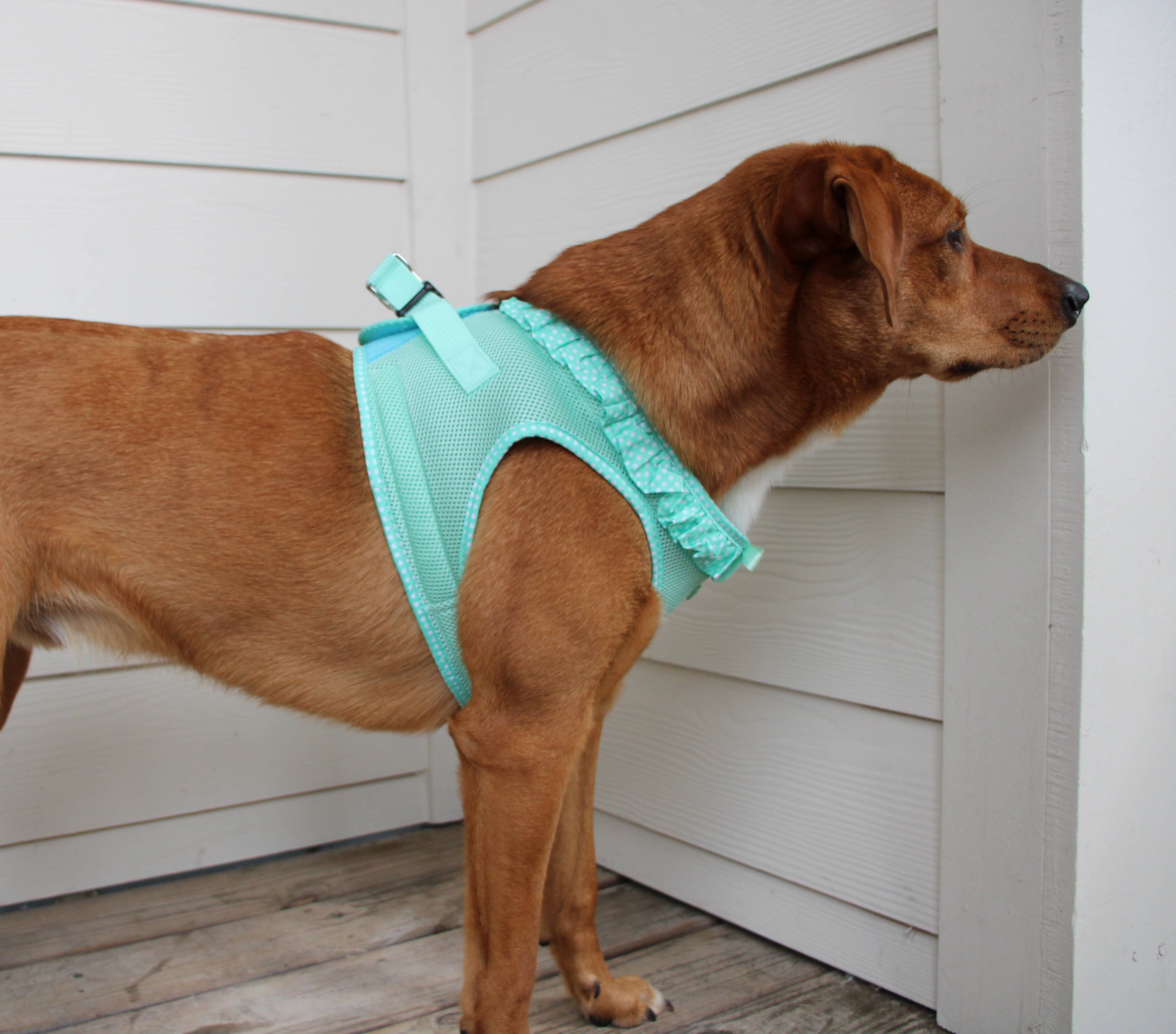American River Polka Dot Dog Harness - Teal