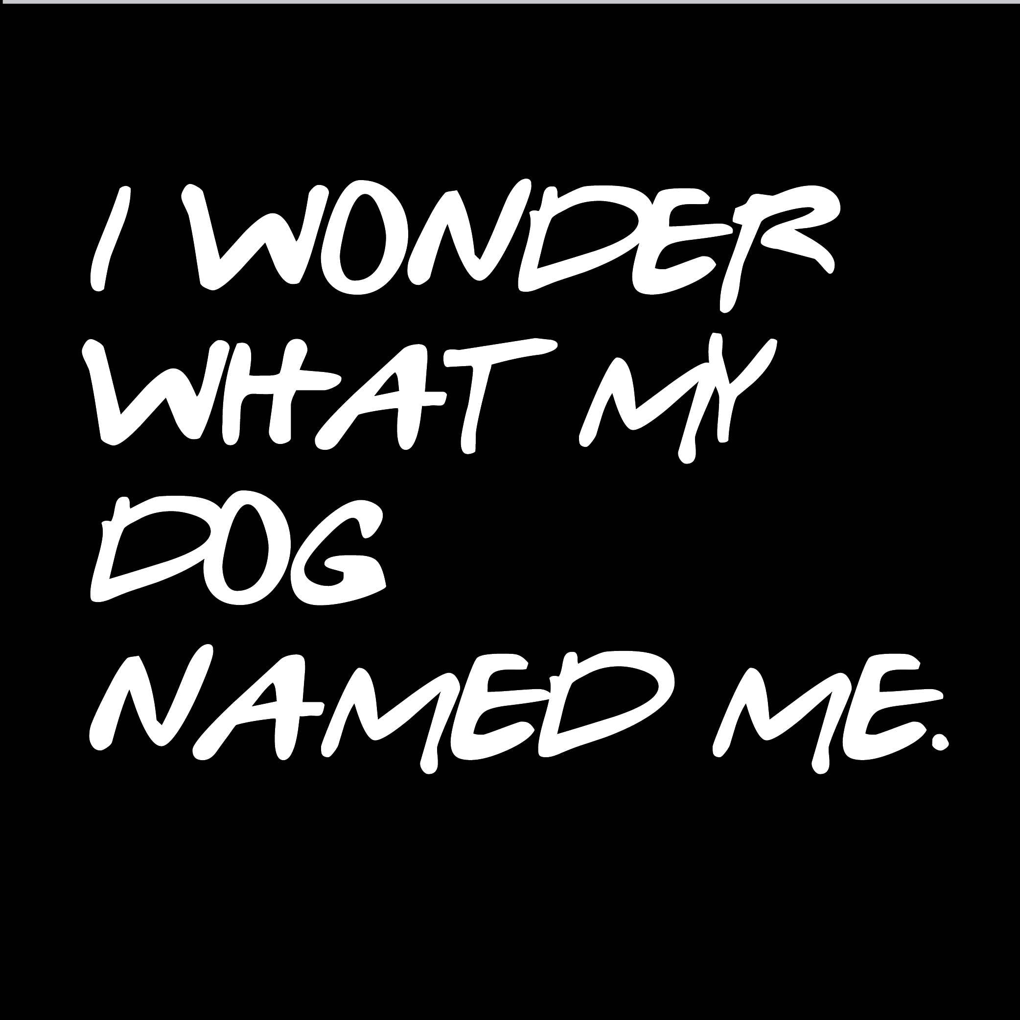 I Wonder What My Dog Named Me