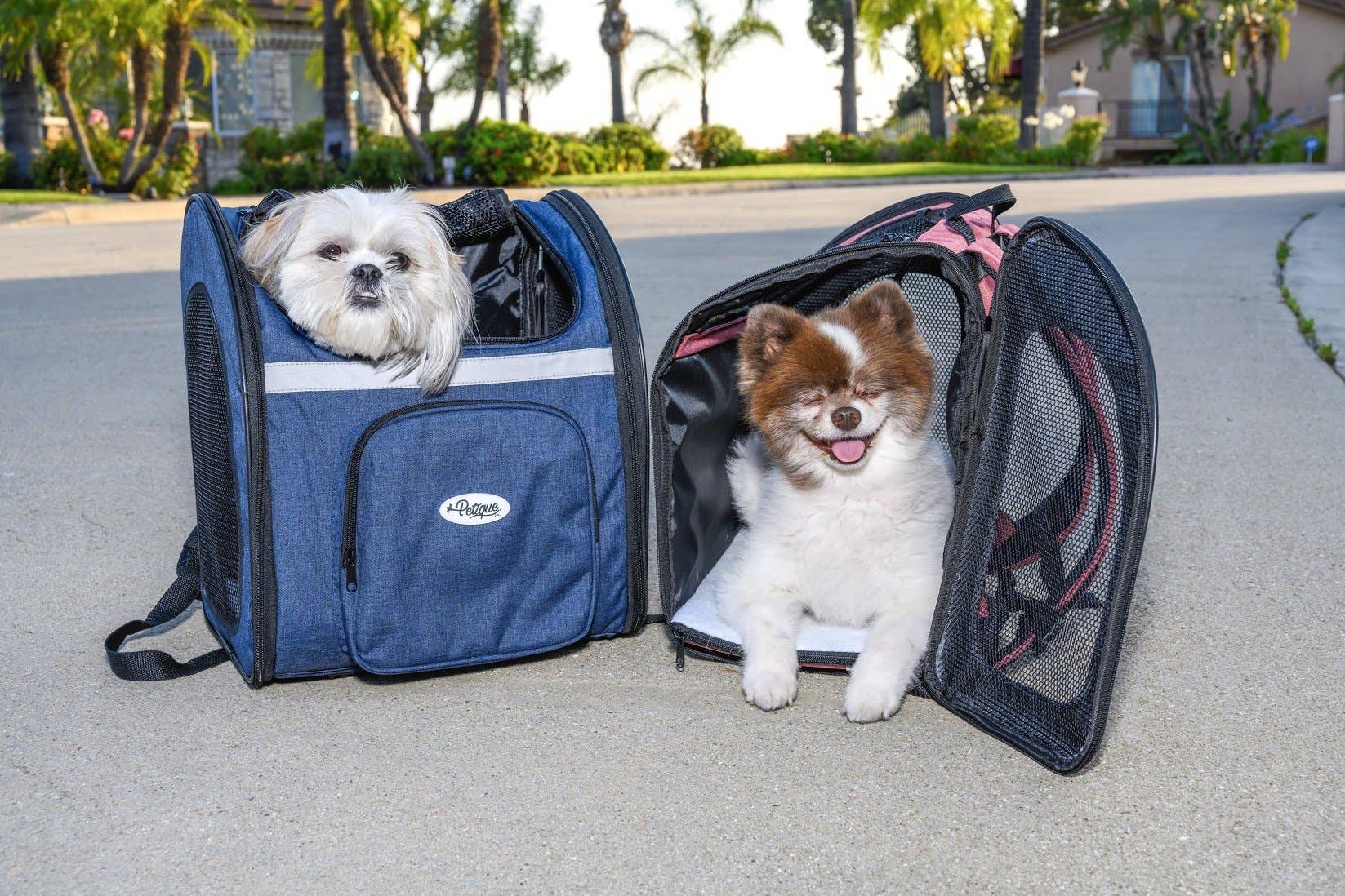 The Backpacker Pet Carrier