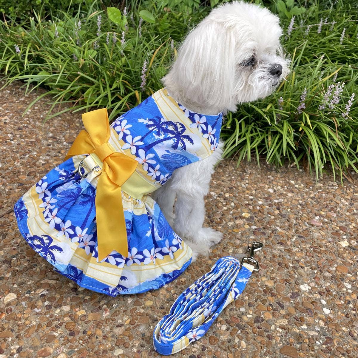 Catching Waves Dog Dress w/ Matching Leash