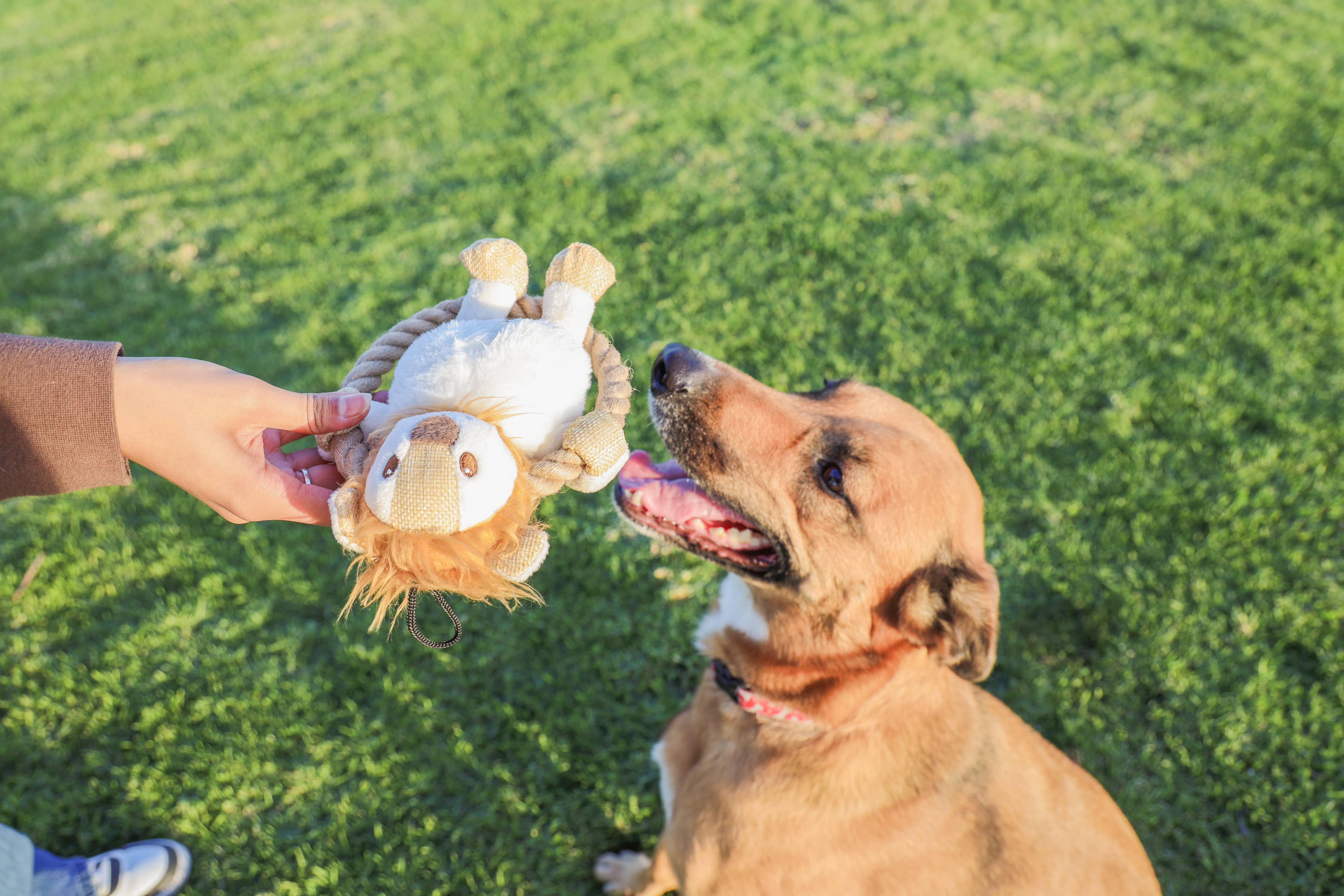 Hula Hemp Rope Lion Pet Toy