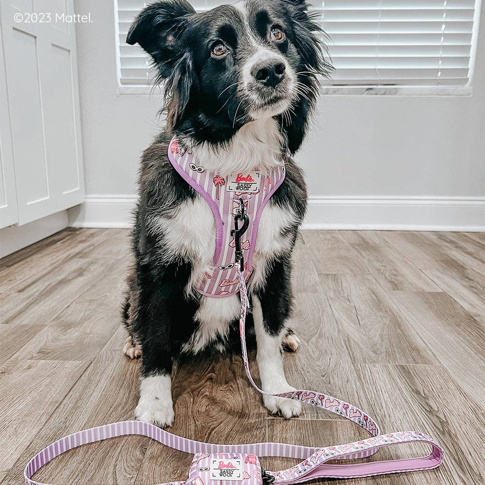 Dog Adjustable Harness - Closet Goals