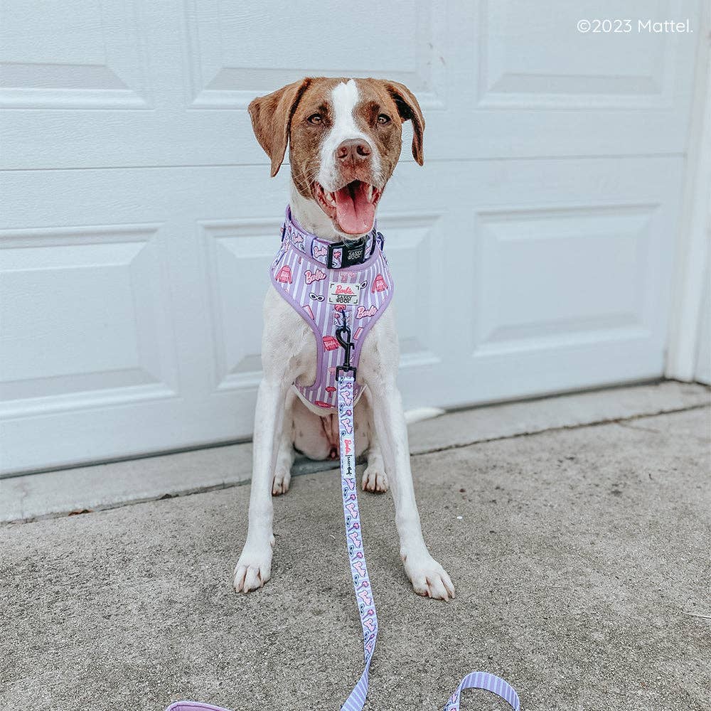 Dog Adjustable Harness - Closet Goals