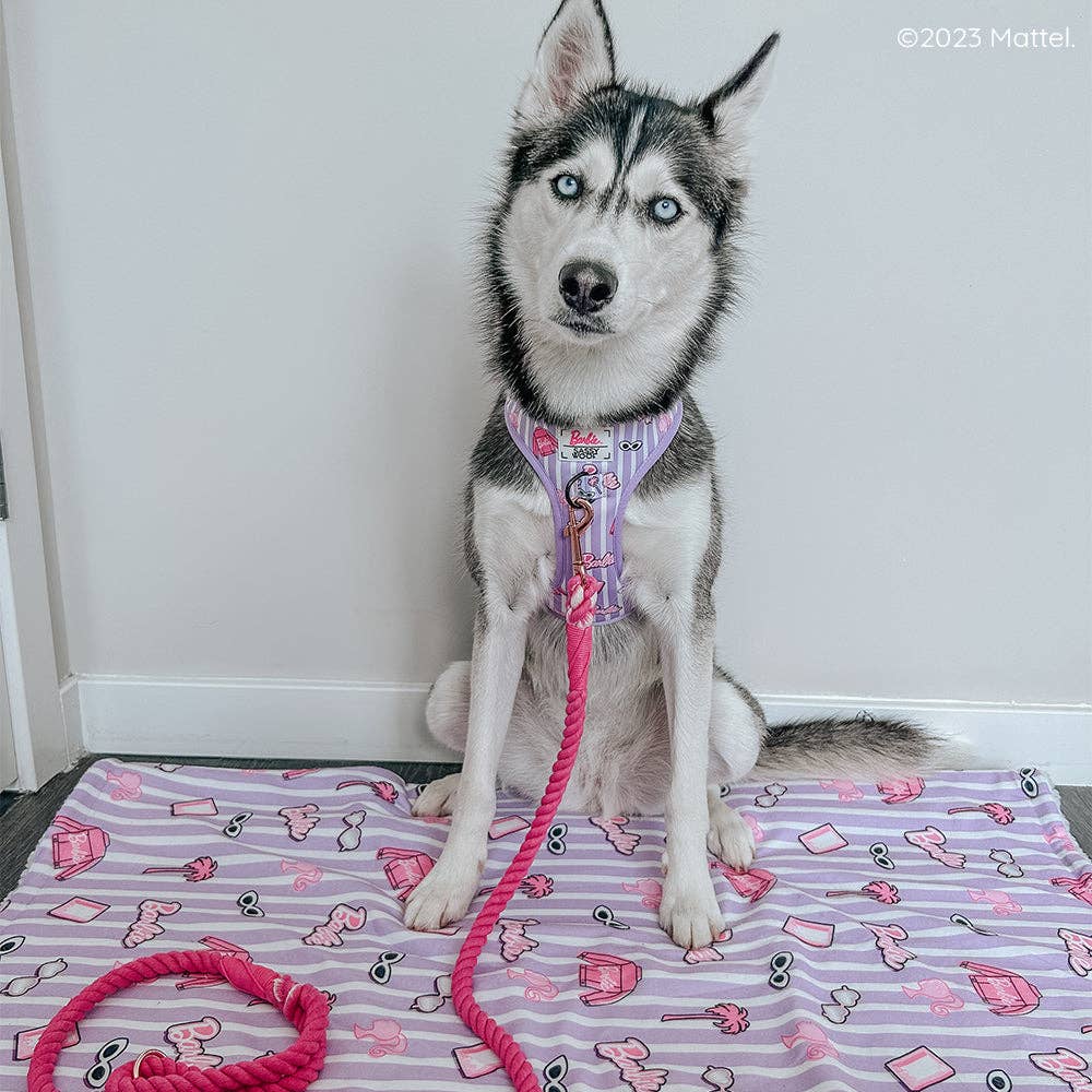 Dog Adjustable Harness - Closet Goals