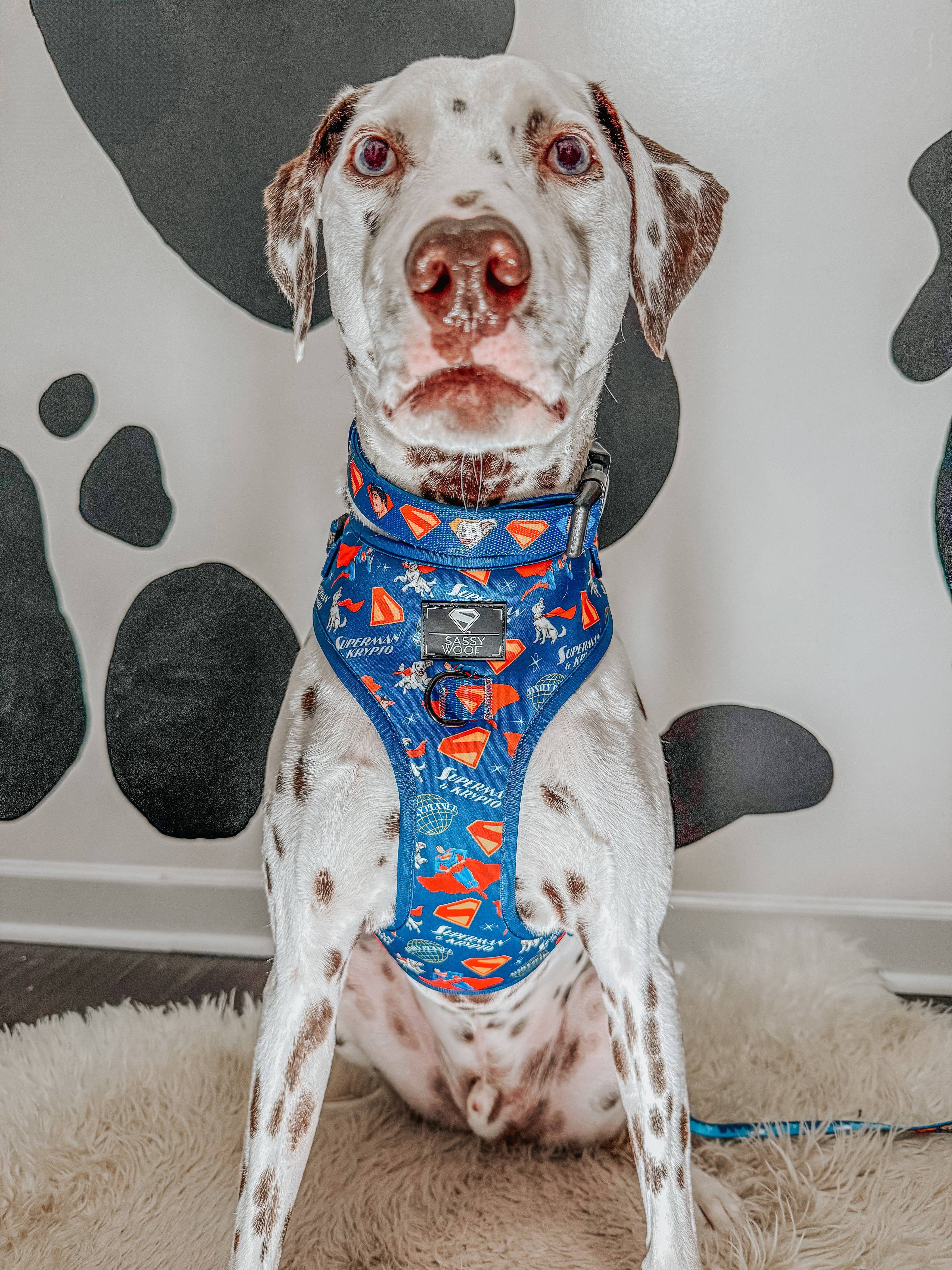 Dog Adjustable Harness - Superman™ & Krypto™