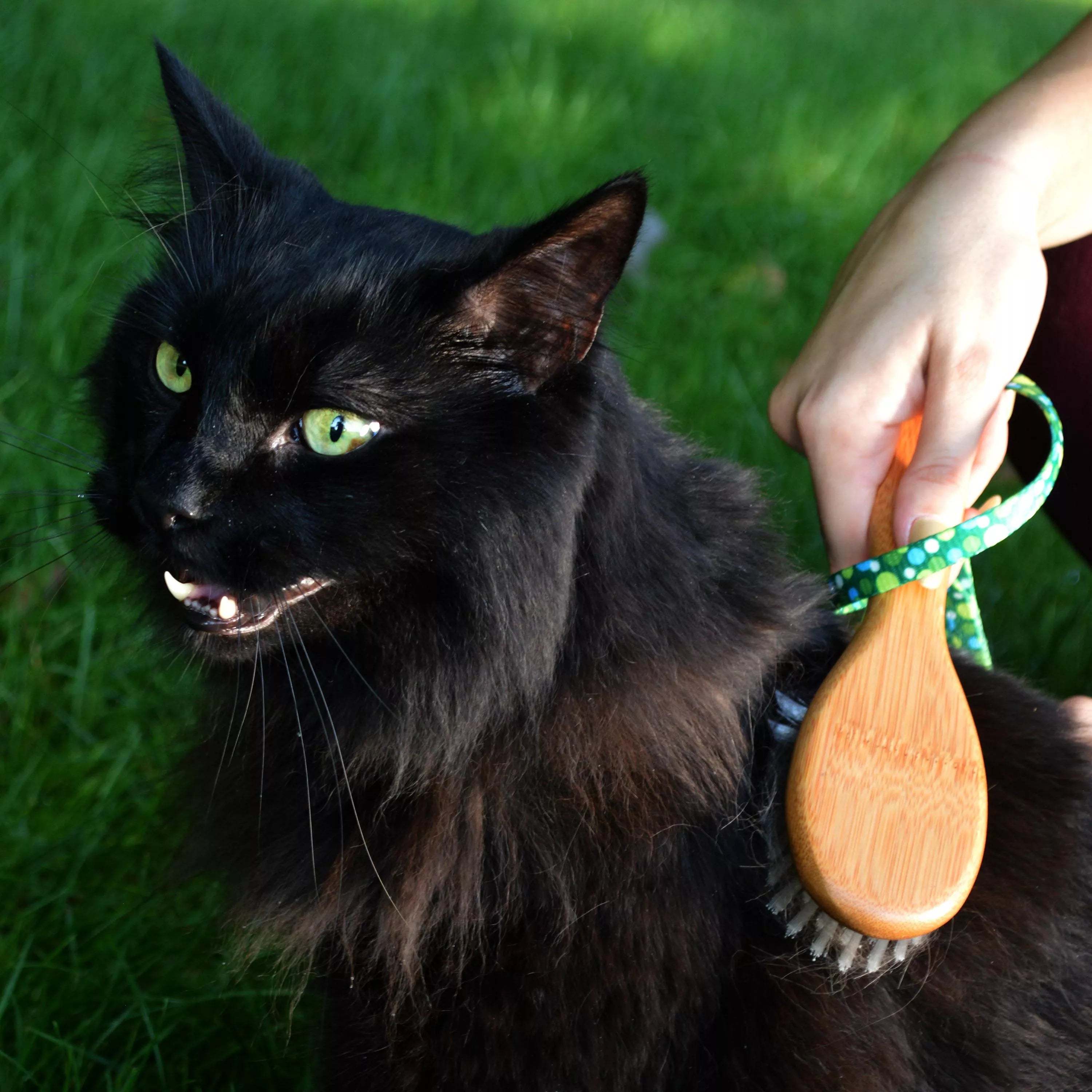 Bristle Cat Brush w/Bamboo Handle
