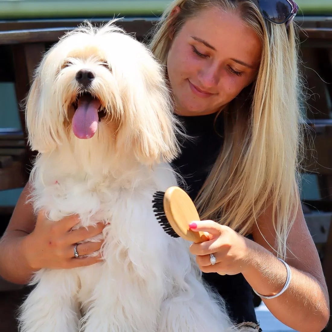 Bristle Dog Brush w/Bamboo Handle