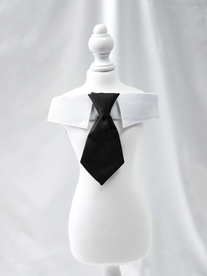 Knotted Tie w/Collar - Adjustable