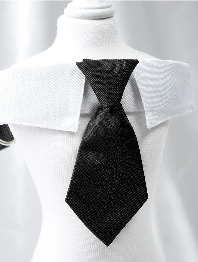 Knotted Tie w/Collar - Adjustable