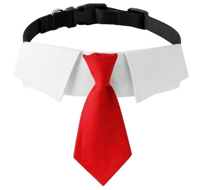Knotted Tie w/Collar - Adjustable