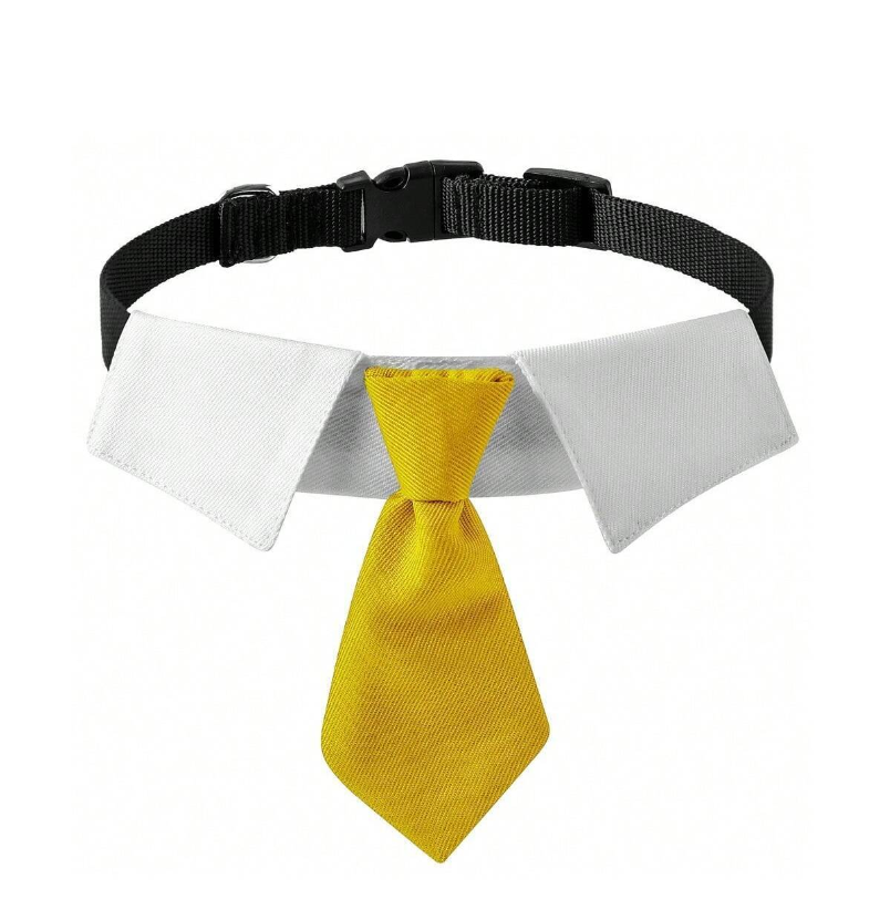 Knotted Tie w/Collar - Adjustable