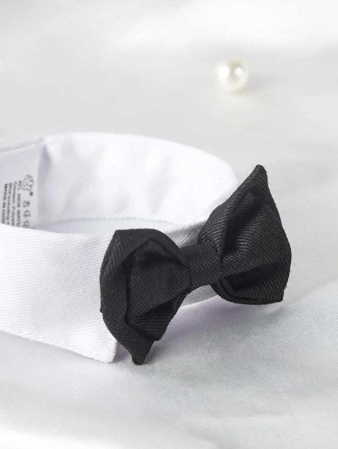 Bow Tie w/Collar - Cloth - Velcro