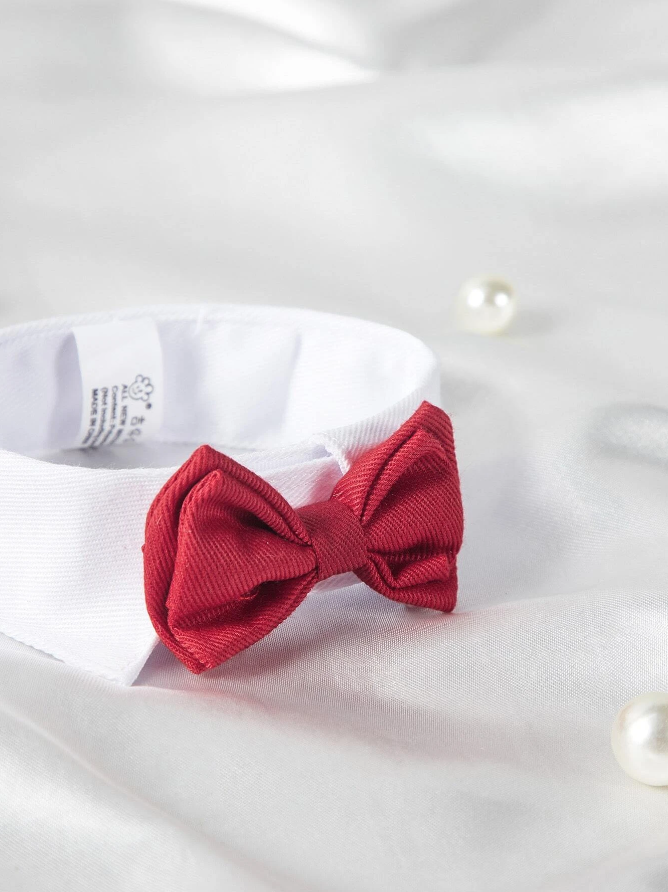 Bow Tie w/Collar - Cloth - Velcro