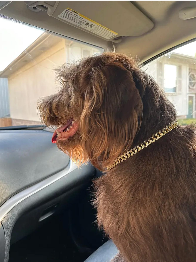 Cuban Link Chain