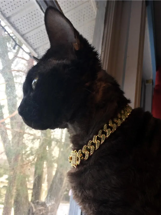Cuban Link Chain