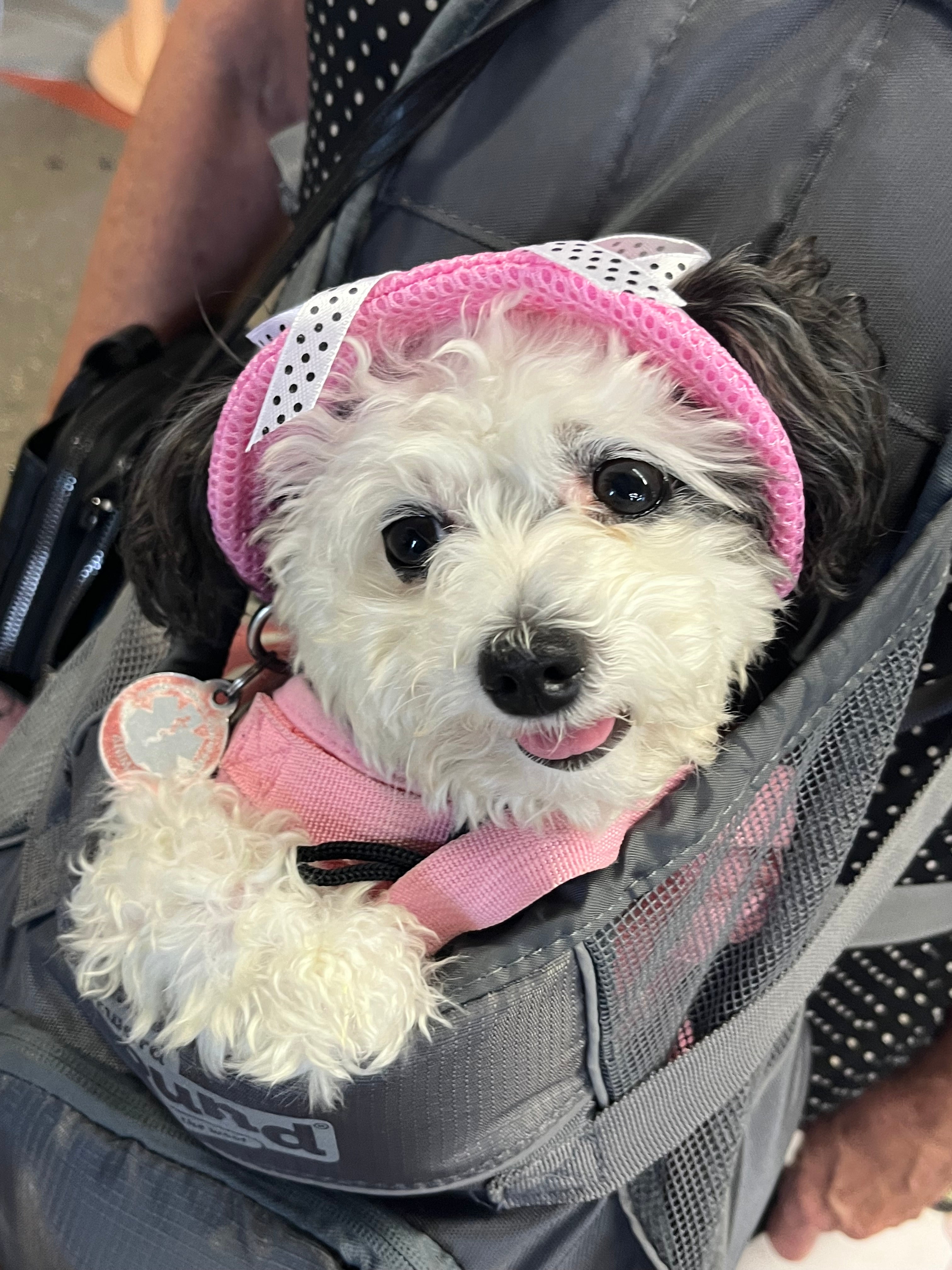Fisherman Mesh Hat Pink w/Polka Dot Bow