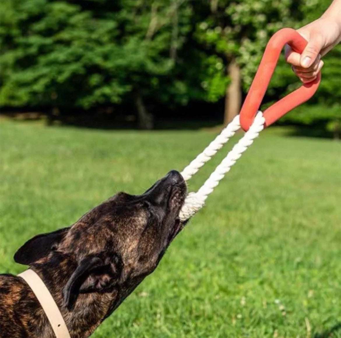 Triangle Tug Toy