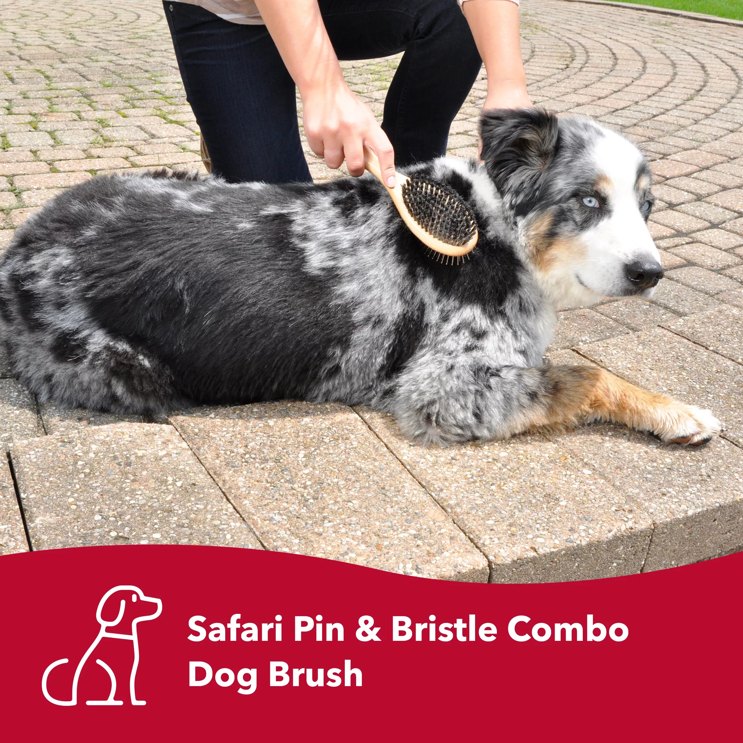 Bristle & Wire Pin Dog Brush Combo w/Bamboo Handle