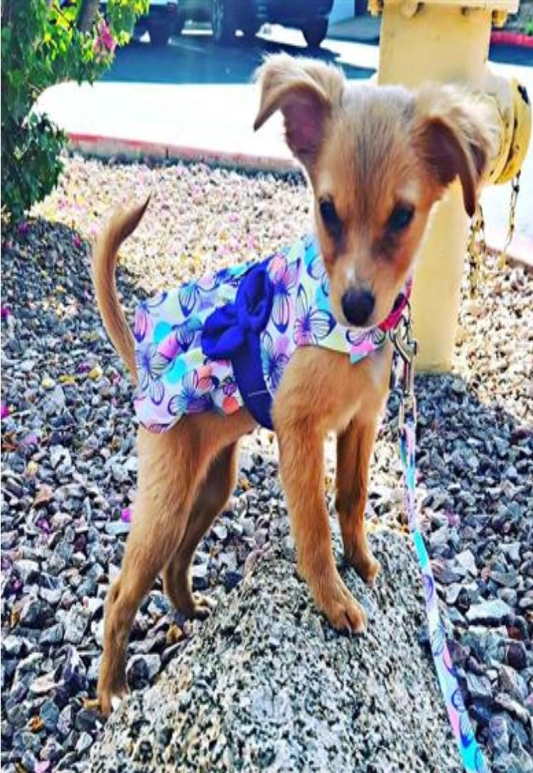 Purple Butterfly Dog Dress w/Matching Leash (Harness)