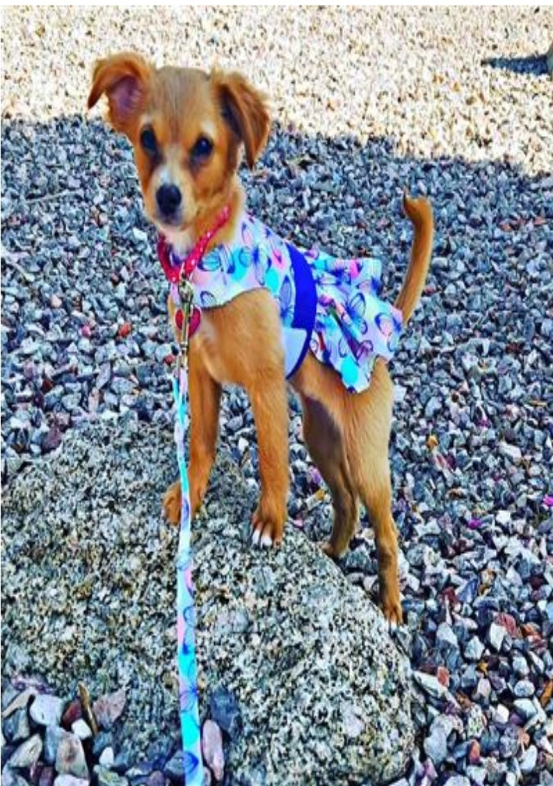 Purple Butterfly Dog Dress w/Matching Leash (Harness)