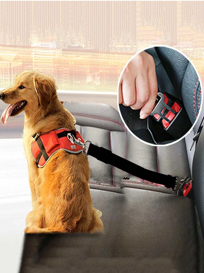 Safety Seat Belt for Dogs