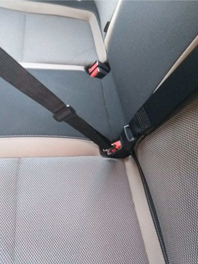 Safety Seat Belt for Dogs
