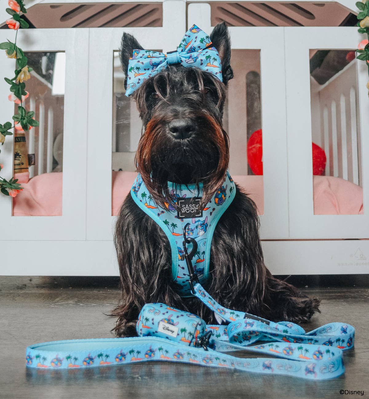 Dog Leash - Disney's Stitch