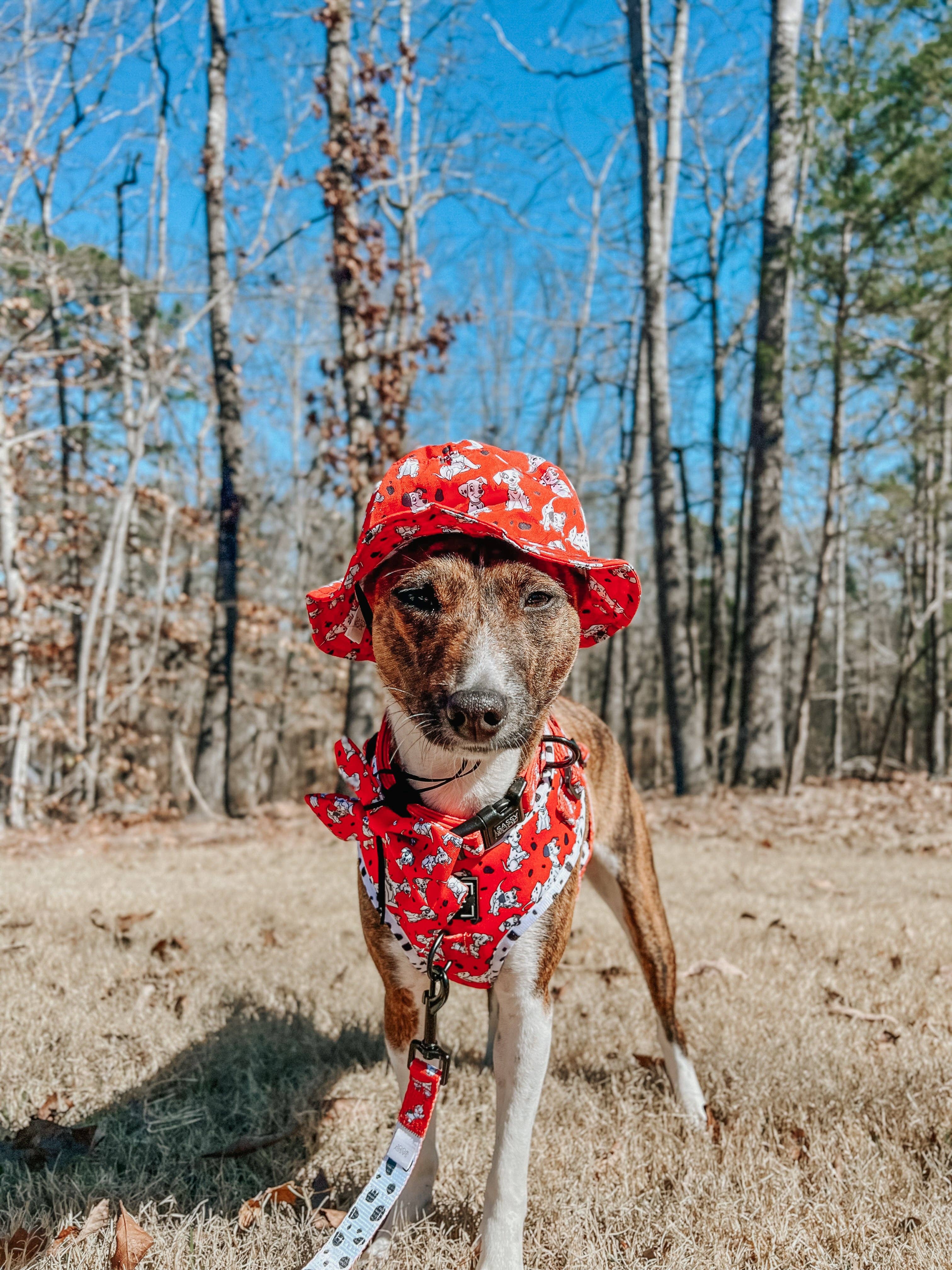 Dog Bucket Hat - Disney's 101 Dalmatians