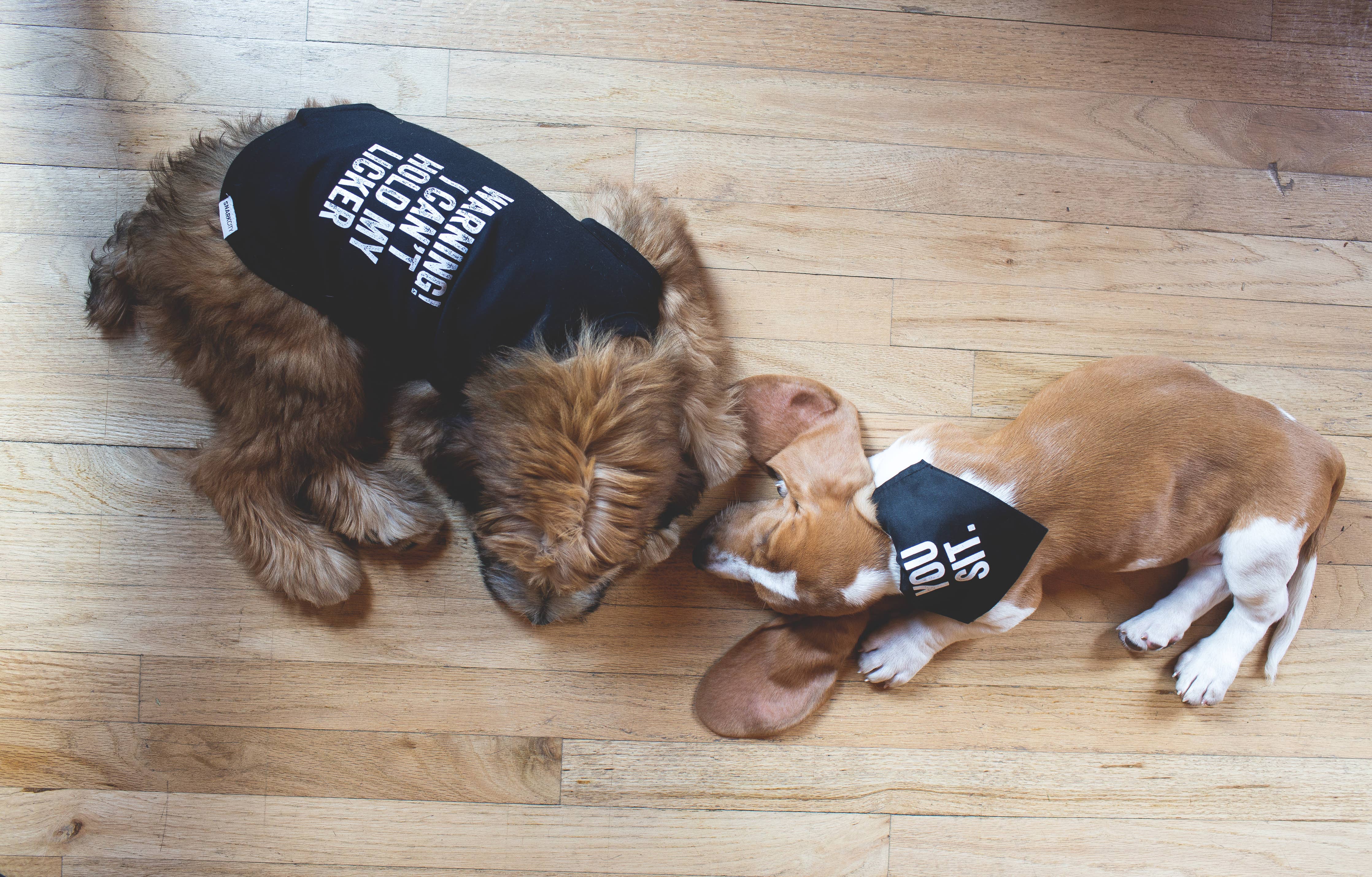 "I Can't Hold My Licker" Pet Tee