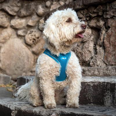 Horizon Blue Plush Step In Vest Air-Mesh Harness