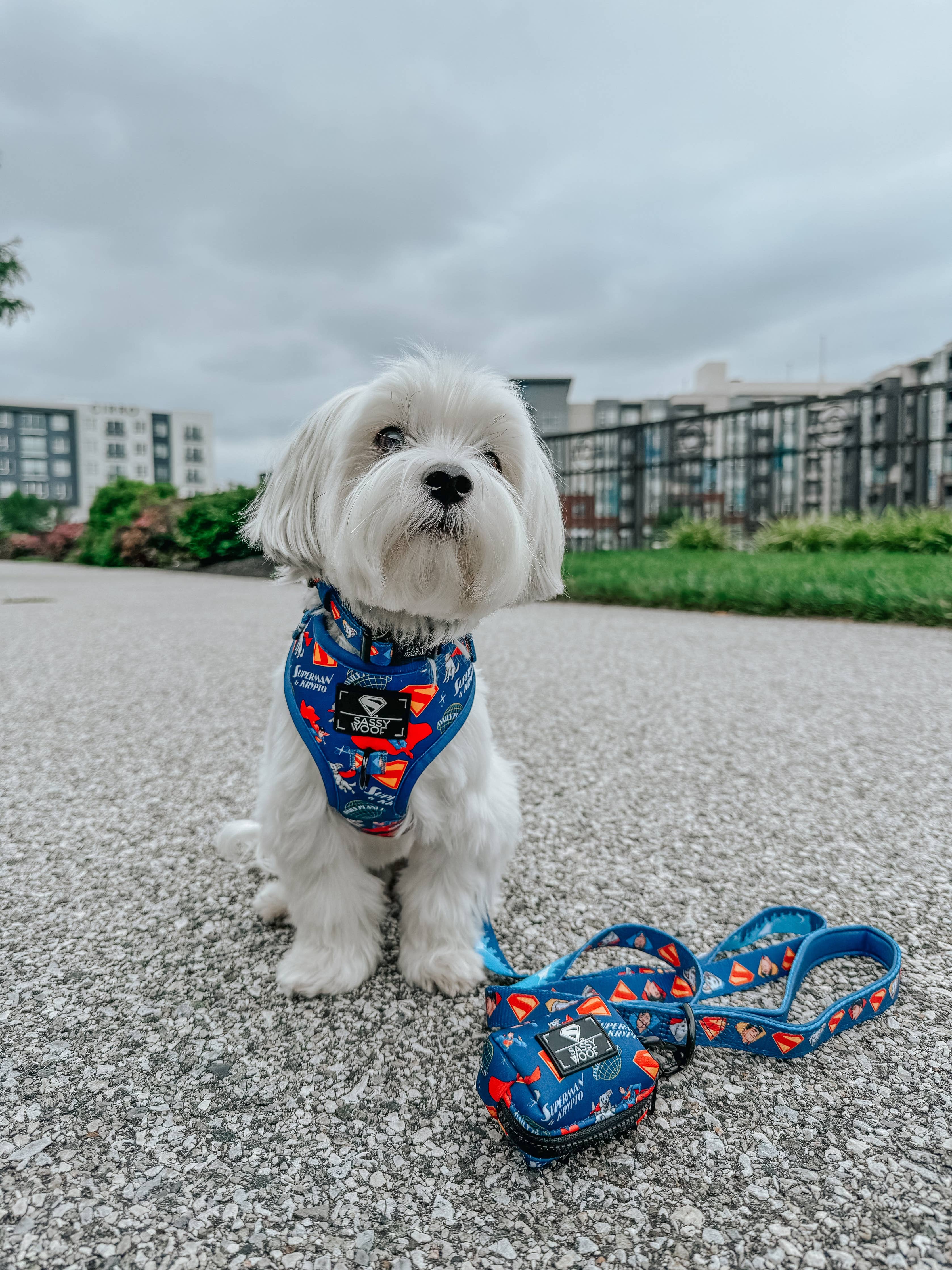 Dog Adjustable Harness - Superman™ & Krypto™