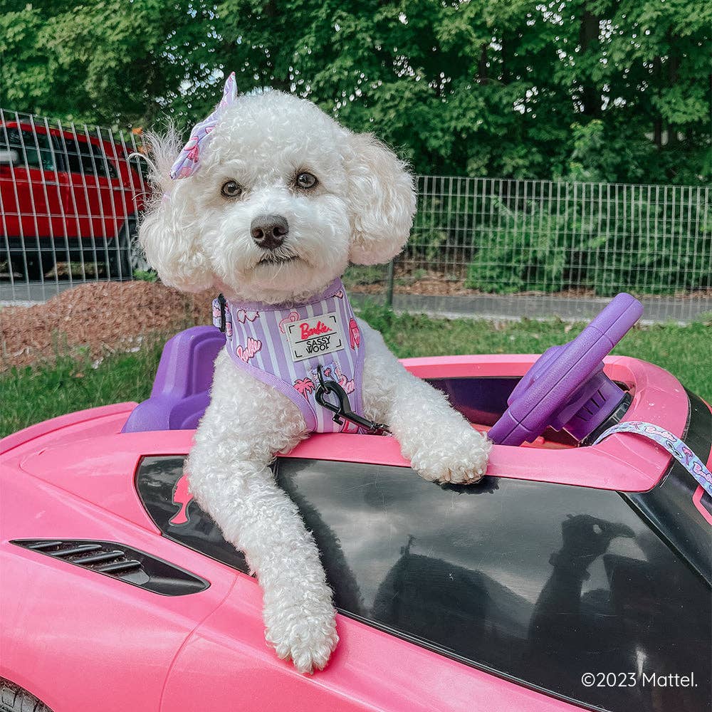 Dog Adjustable Harness - Closet Goals