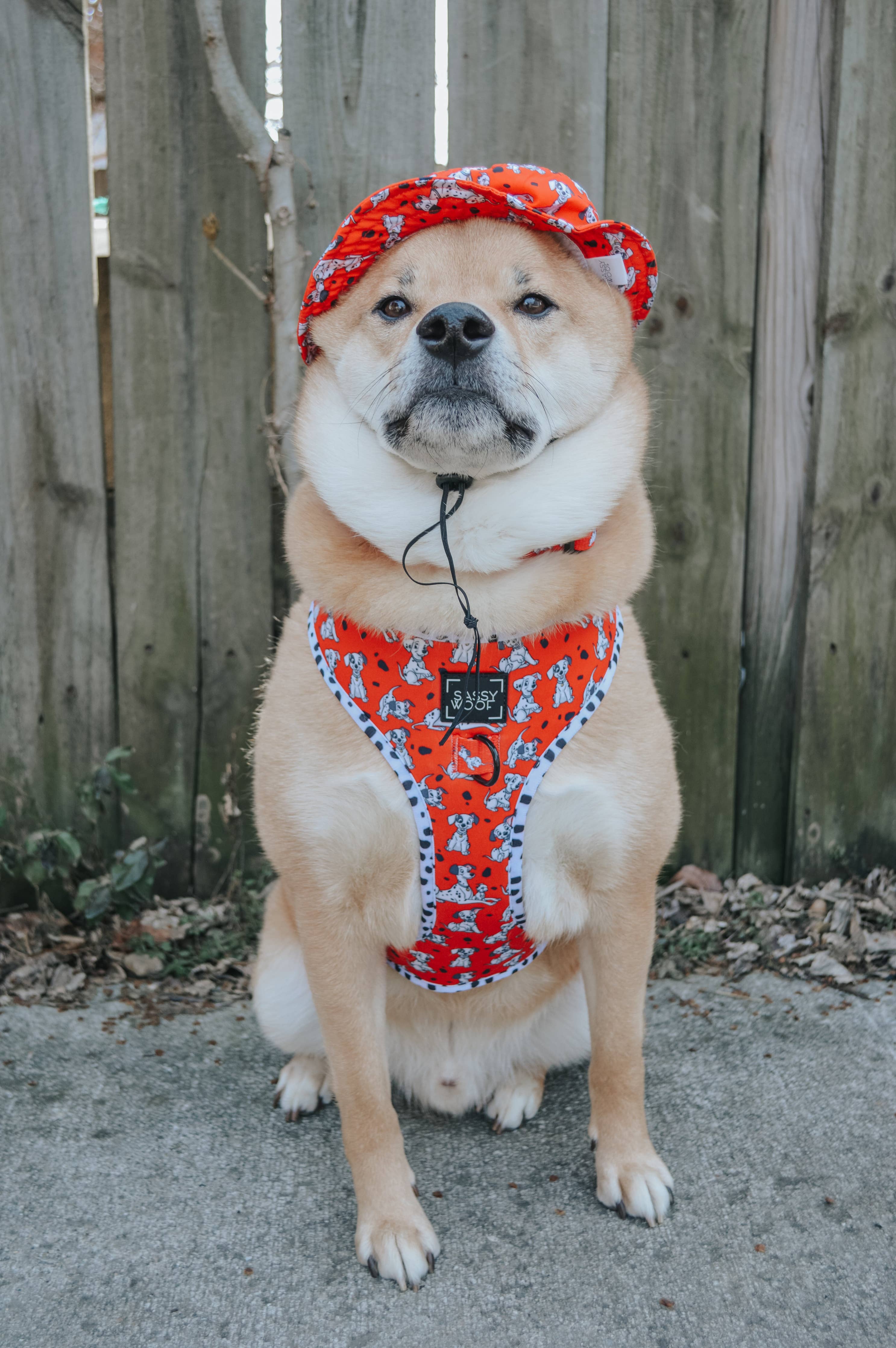 Dog Bucket Hat - Disney's 101 Dalmatians