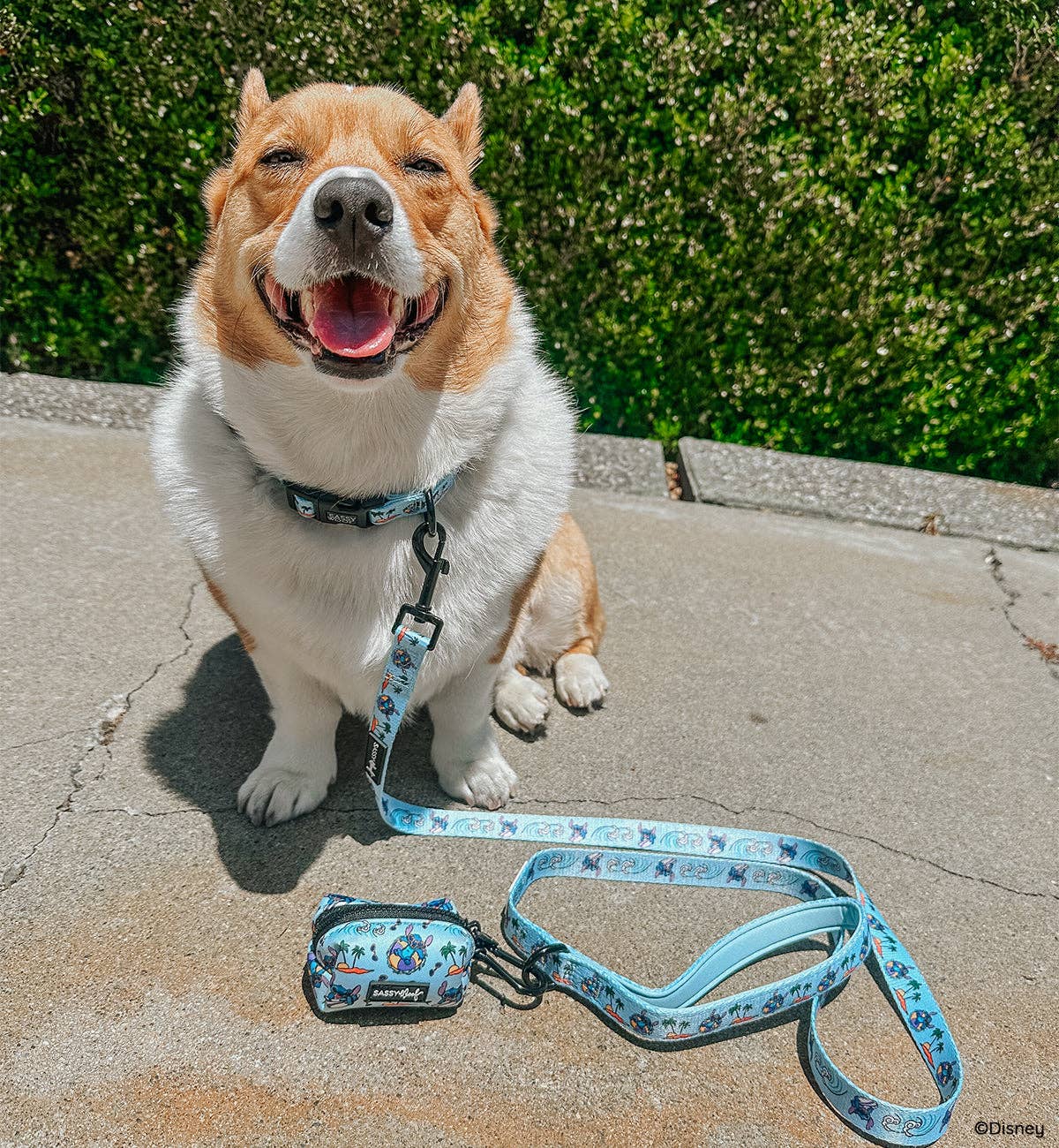 Dog Leash - Disney's Stitch