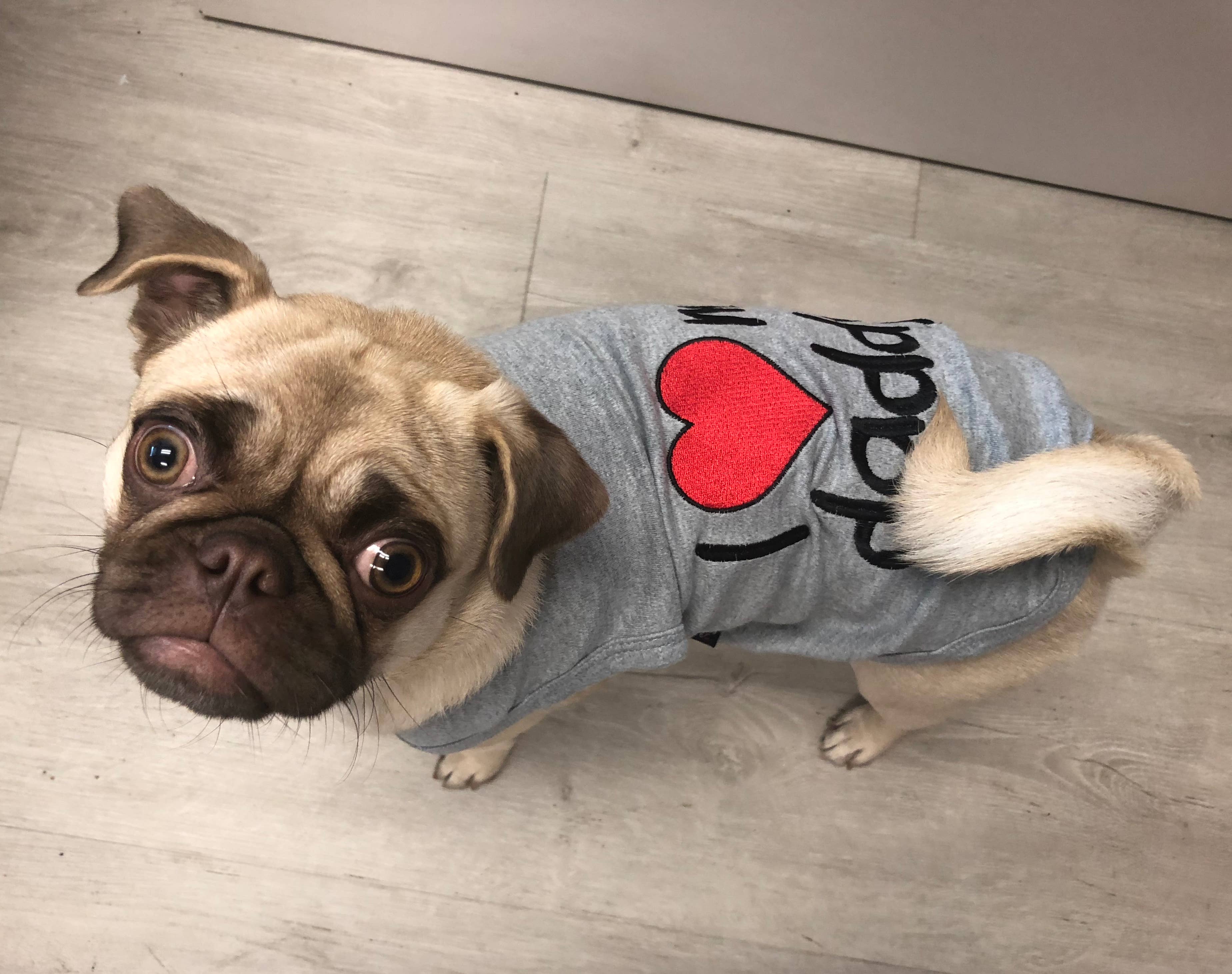 I Love My Daddy - Gray Dog T-Shirt