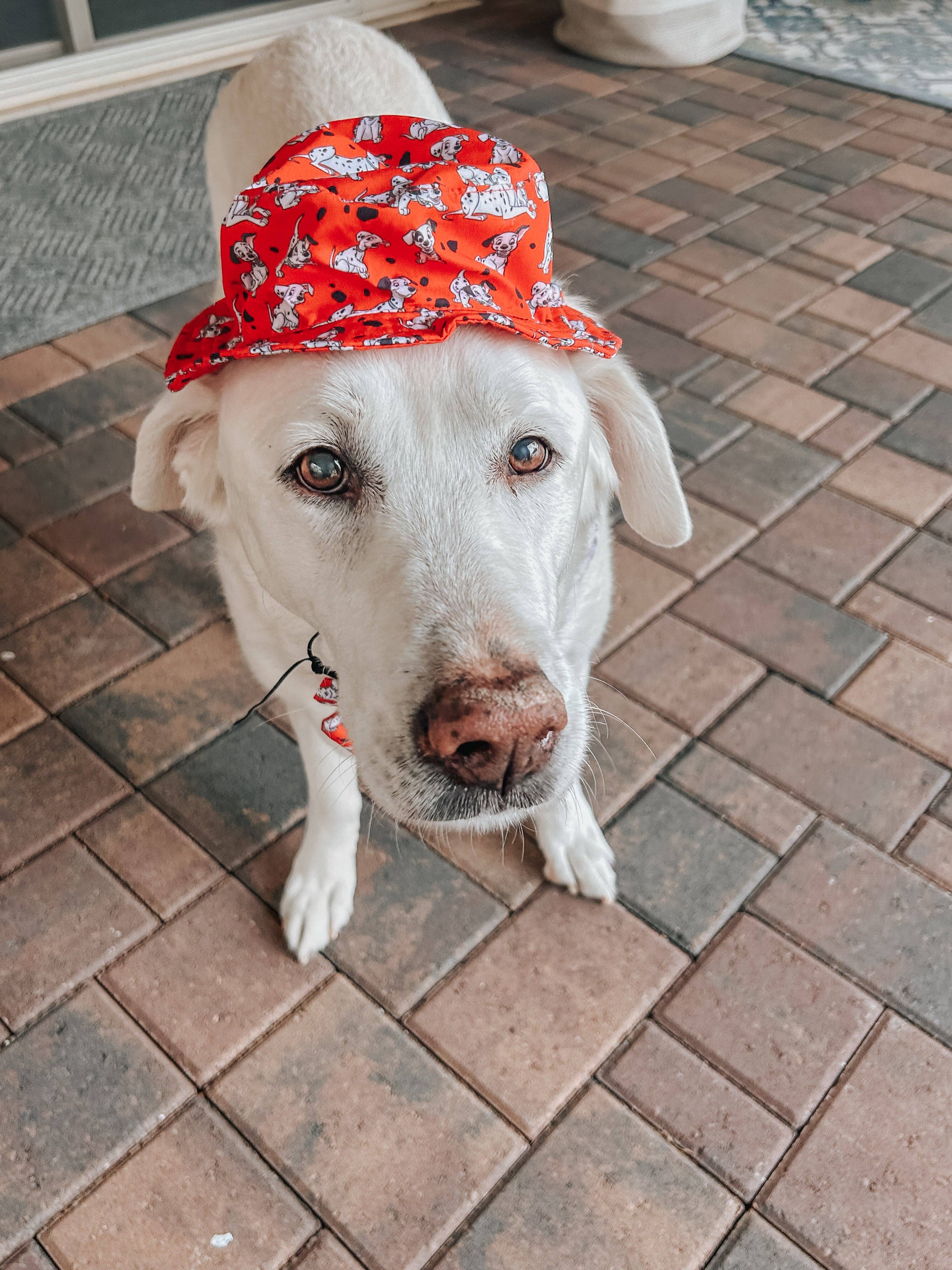 Dog Bucket Hat - Disney's 101 Dalmatians