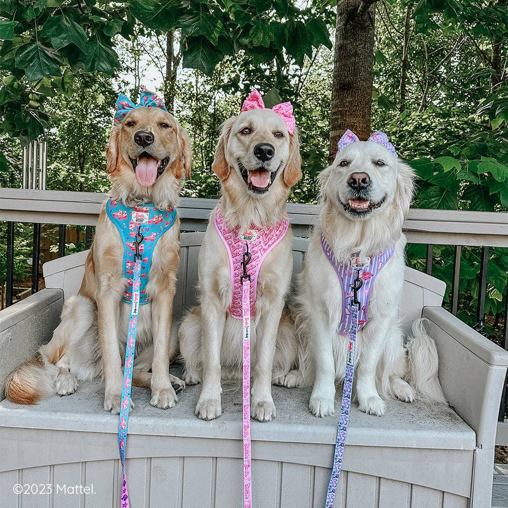 Dog Adjustable Harness - Closet Goals