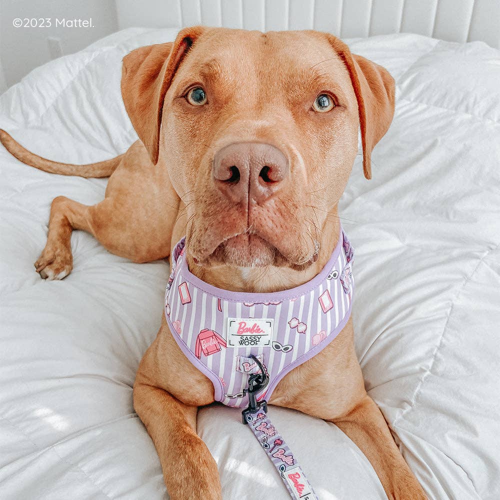 Dog Adjustable Harness - Closet Goals