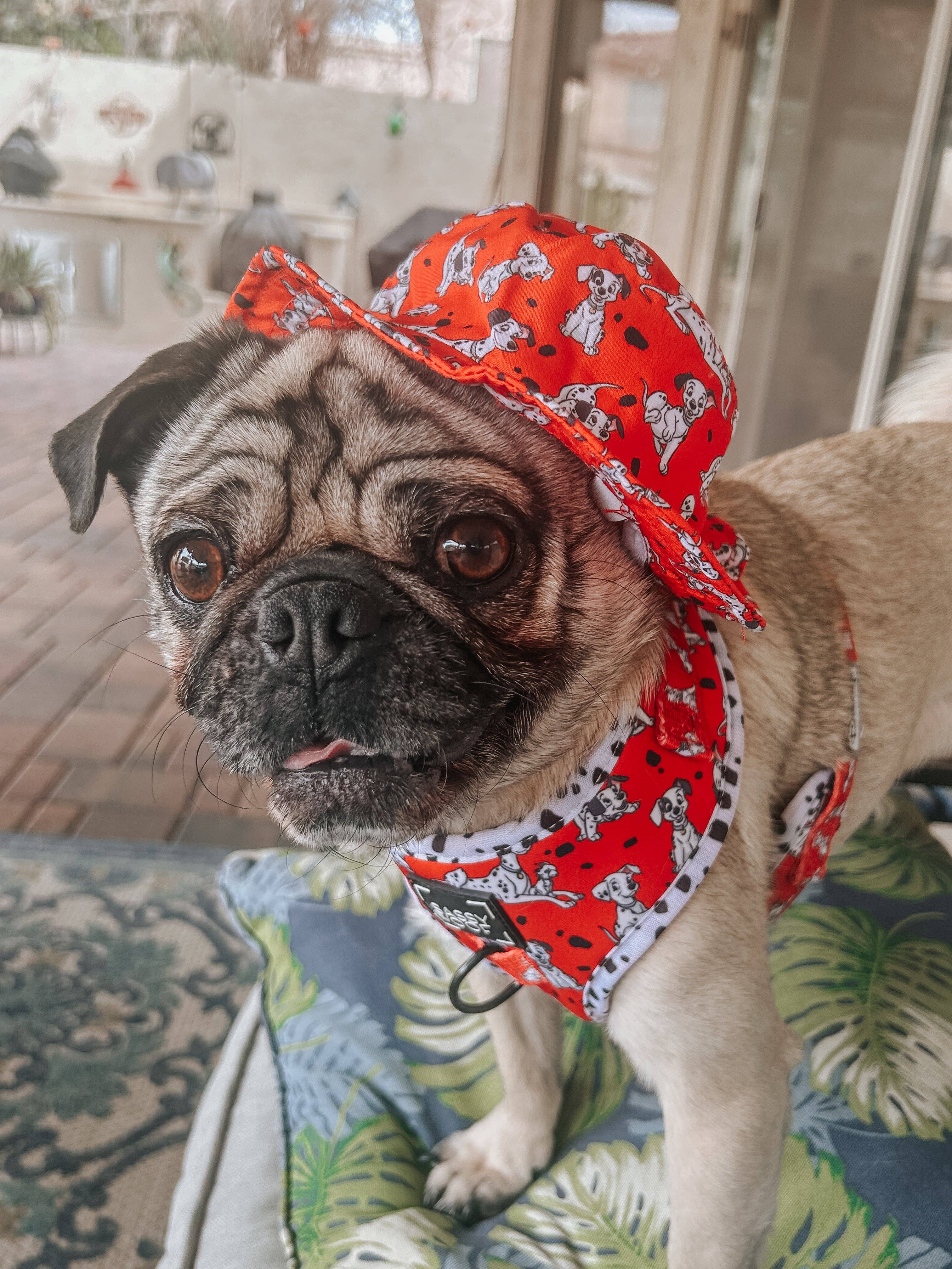 Dog Bucket Hat - Disney's 101 Dalmatians