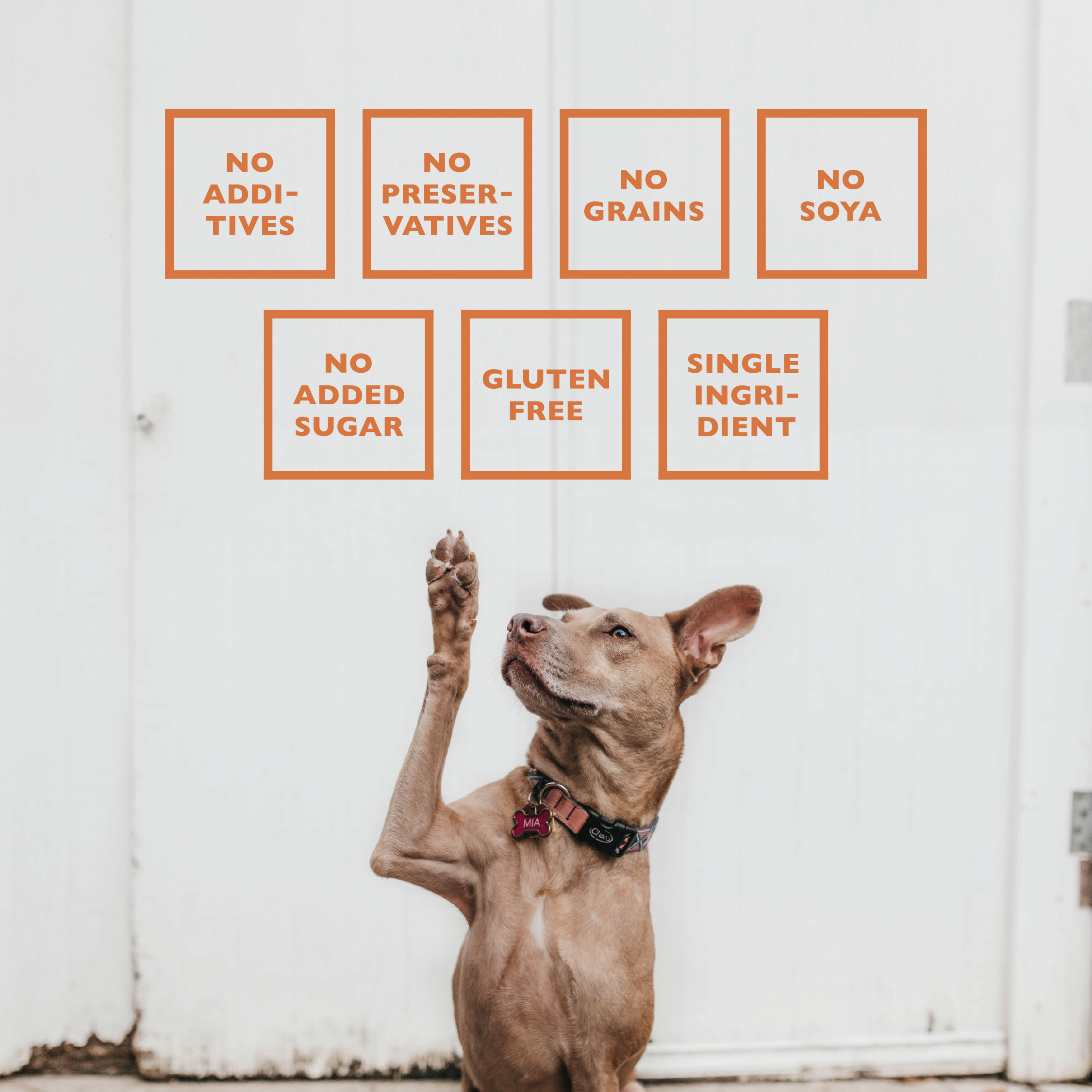 All-Natural Premium Lamb Ear Dog Chews (3.5oz Bag)